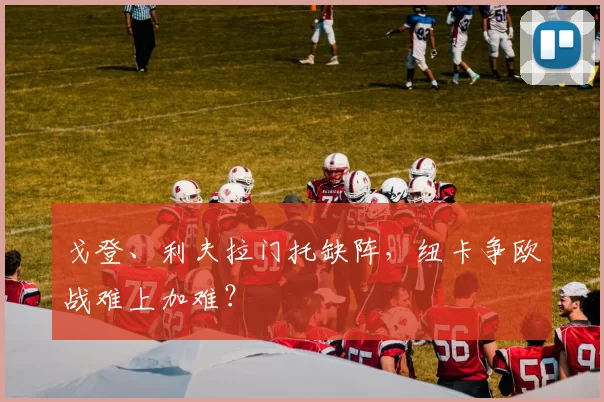 戈登、利夫拉门托缺阵，纽卡争欧战难上加难？