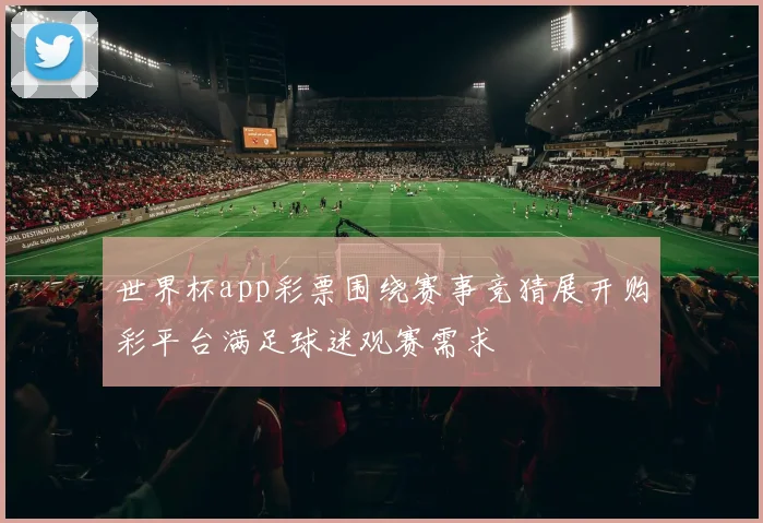 世界杯app彩票围绕赛事竞猜展开购彩平台满足球迷观赛需求